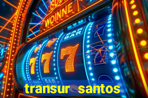 transur santos dumont x juiz de fora 2024